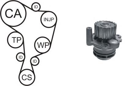 WPK937802 Airtex Correia do mecanismo de distribuição de gás, kit