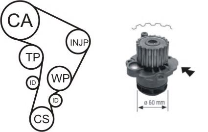 Correia do mecanismo de distribuição de gás, kit VAG N0195313