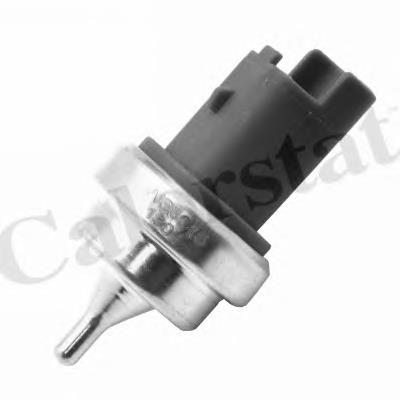 15889 Fare Sensor de temperatura do fluido de esfriamento