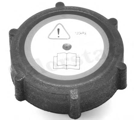 Compre 1078160 Ford Tampa (tampão) do tanque de expansão