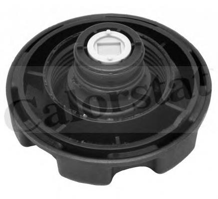 Compre RC0087 Vernet Tampa (tampão) do tanque de expansão