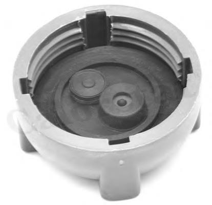 Compre RC0036 Vernet Tampa (tampão) do tanque de expansão