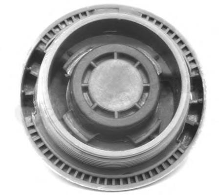 Compre RC0028 Vernet Tampa (tampão) do tanque de expansão