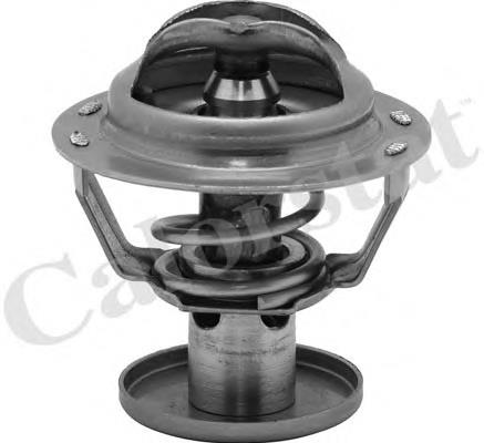 Compre 4495428 Ford Termostato