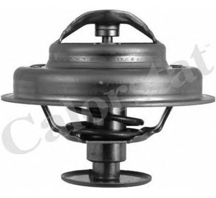Compre 6182480 Ford Termostato
