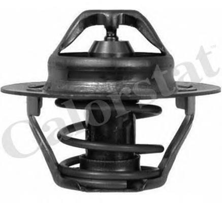 Termostato TH604589J Vernet