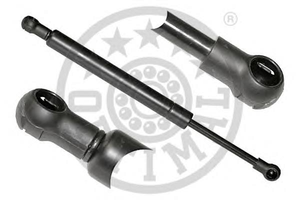 Amortecedor de tampa de porta-malas (de 3ª/5ª porta traseira) Volvo 8650233