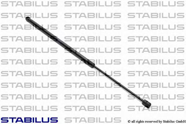 Amortecedor de tampa de porta-malas (de 3ª/5ª porta traseira) Ford 2S51B406A10AD