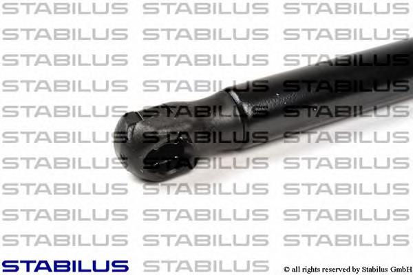 Amortecedor de tampa de porta-malas (de 3ª/5ª porta traseira) Peugeot/Citroen 1615076880 preço, a partir de 13,19 USD