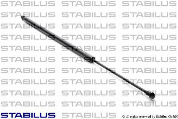 Amortecedor de tampa de porta-malas (de 3ª/5ª porta traseira) ZS01073 Japan Parts