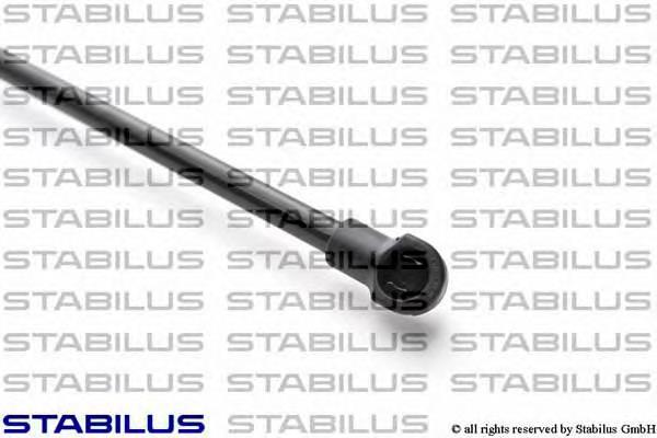 Amortecedor de tampa de porta-malas (de 3ª/5ª porta traseira) Japan Parts ZS01073