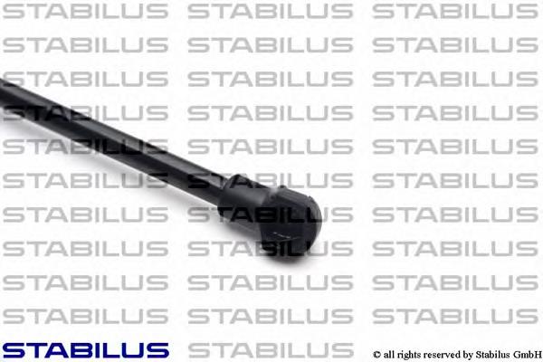 Amortecedor de tampa de porta-malas (de 3ª/5ª porta traseira) Toyota 689600W430