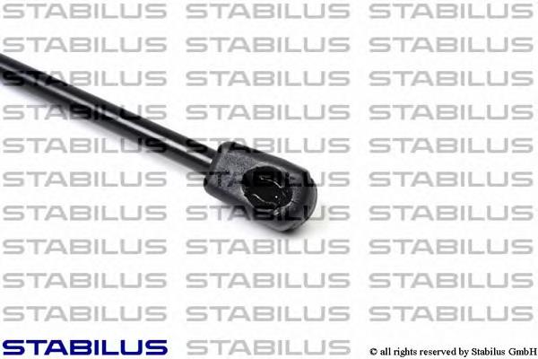 Amortecedor de tampa de porta-malas (de 3ª/5ª porta traseira) Hyundai/Kia 0K01H62610A