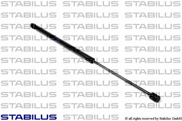 Amortecedor de tampa de porta-malas (de 3ª/5ª porta traseira) Renault (RVI) 6025300735