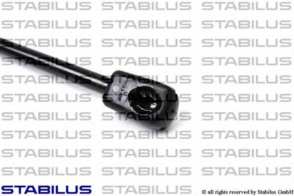 Amortecedor de tampa de porta-malas (de 3ª/5ª porta traseira) Ford 7S71N406A10AE