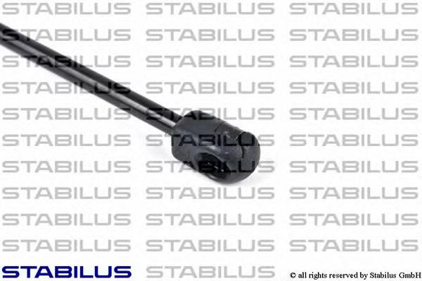 Amortecedor de tampa de porta-malas (de 3ª/5ª porta traseira) GS0319 Magneti Marelli