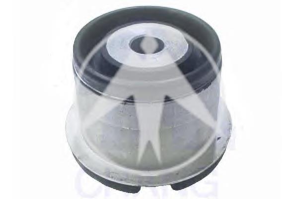Bloco silencioso de viga traseira (de plataforma veicular) 480524 Cautex