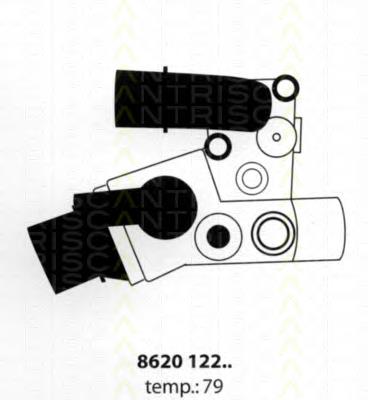 Compre 862012279 Triscan Termostato
