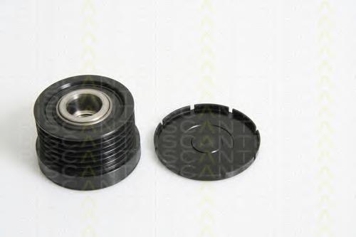 12317560483 BMW Polia do gerador