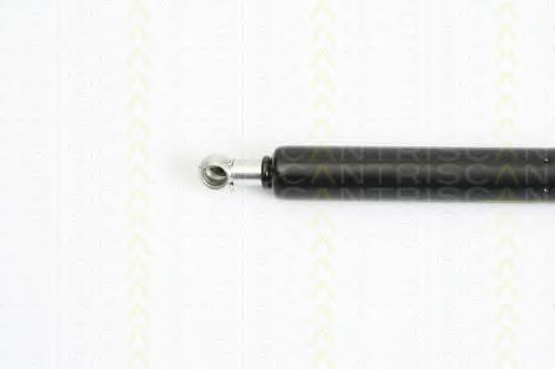 Amortecedor de tampa de porta-malas (de 3ª/5ª porta traseira) Fiat/Alfa/Lancia 50508010