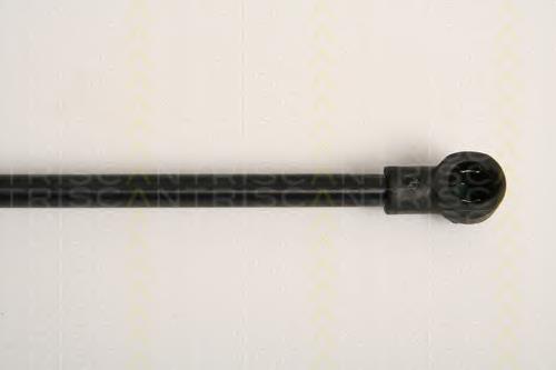 Compre 51247166758 BMW Amortecedor de tampa de porta-malas (de 3ª/5ª porta traseira)