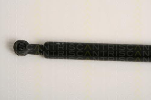 Amortecedor de tampa de porta-malas (de 3ª/5ª porta traseira) 51244365788 BMW