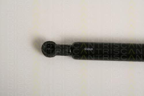 Amortecedor de tampa de porta-malas (de 3ª/5ª porta traseira) Japan Parts ZS01073 preço, a partir de 15,38 USD