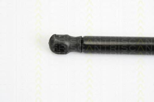 0225090250N Fiat/Alfa/Lancia Amortecedor da capota