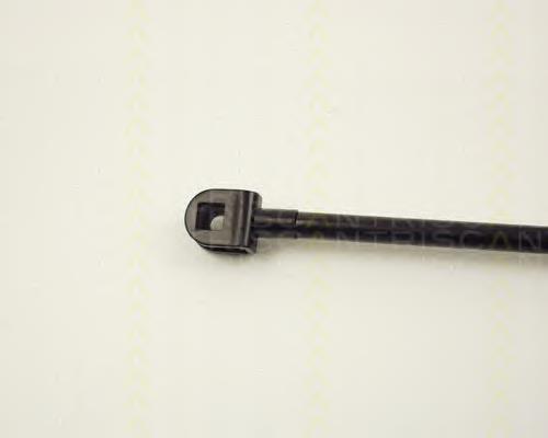 Amortecedor de tampa de porta-malas (de 3ª/5ª porta traseira) Japan Parts ZS20001 preço, a partir de 20,09 USD