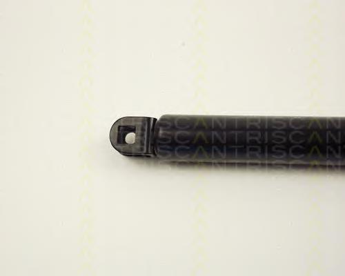 Amortecedor de tampa de porta-malas (de 3ª/5ª porta traseira) ZS20001 Japan Parts