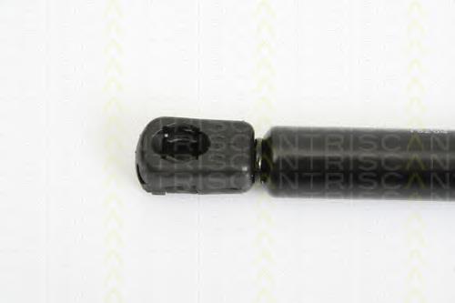 Compre 8731J3 Peugeot/Citroen Amortecedor de tampa de porta-malas (de 3ª/5ª porta traseira)
