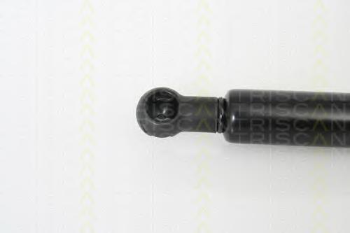 Amortecedor da capota Triscan 871010100