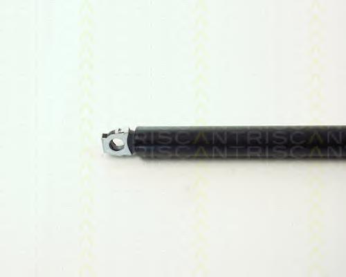 Amortecedor de tampa de porta-malas (de 3ª/5ª porta traseira) 51242231663 BMW