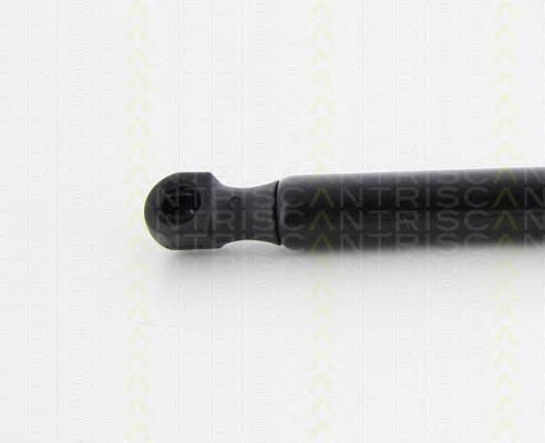 Compre 5123723923306 BMW Amortecedor da capota