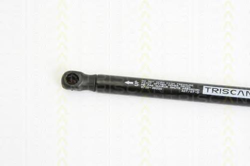 Compre ZSA06004 Ashika Amortecedor de tampa de porta-malas (de 3ª/5ª porta traseira)