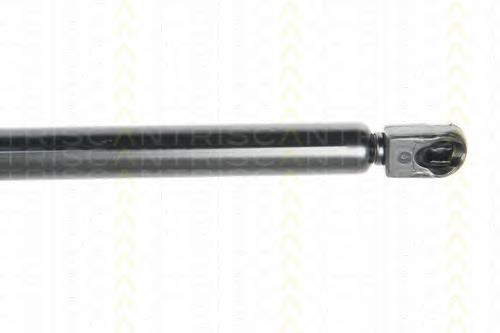 Amortecedor de tampa de porta-malas (de 3ª/5ª porta traseira) Bapmic BF0113480005