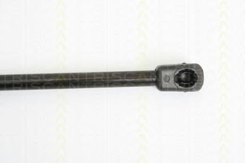 Amortecedor de tampa de porta-malas (de 3ª/5ª porta traseira) GSR649400 Open Parts