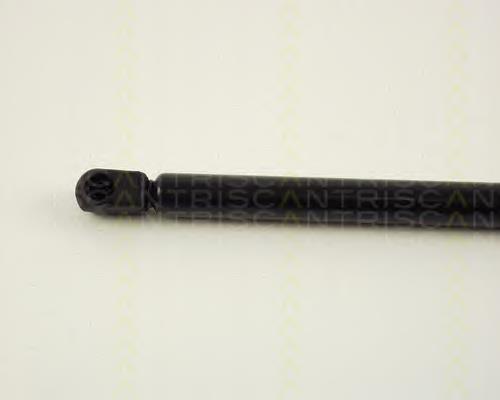 Compre ZS09178 Japan Parts Amortecedor de tampa de porta-malas (de 3ª/5ª porta traseira)