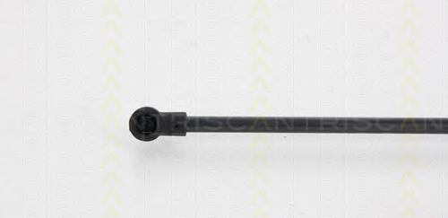 Compre ZS09123 Japan Parts Amortecedor de tampa de porta-malas (de 3ª/5ª porta traseira)
