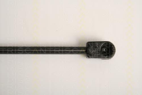 Amortecedor de tampa de porta-malas (de 3ª/5ª porta traseira) 1692162 Ford