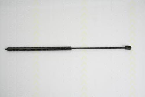 ZS05030 Japan Parts Amortecedor da capota direito