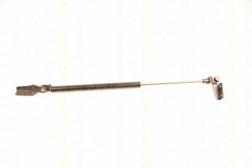 904500N000 Nissan/Infiniti Amortecedor de tampa de porta-malas (de 3ª/5ª porta traseira)