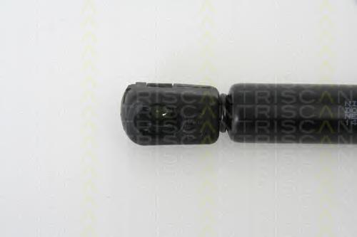 Amortecedor de tampa de porta-malas (de 3ª/5ª porta traseira) Triscan 871014240