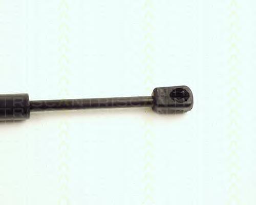 Compre ZS03008 Japan Parts Amortecedor da capota