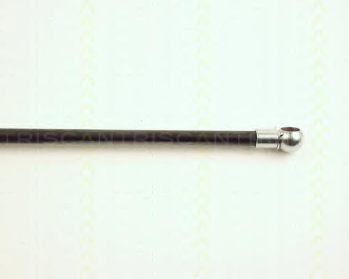 Amortecedor de tampa de porta-malas (de 3ª/5ª porta traseira) Ford 1008277