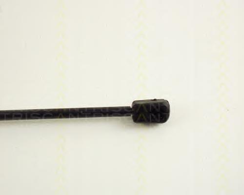 Amortecedor de tampa de porta-malas (de 3ª/5ª porta traseira) Ford 93ABA406A10B1B