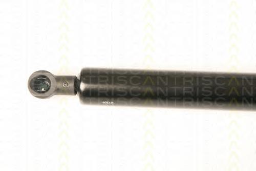 Amortecedor de tampa de porta-malas (de 3ª/5ª porta traseira) 8731Q8 Peugeot/Citroen
