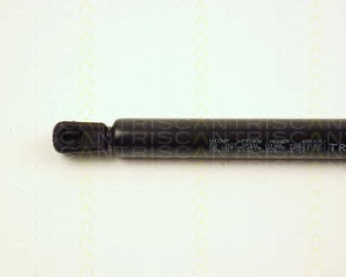 Amortecedor de tampa de porta-malas (de 3ª/5ª porta traseira) GSR605300 Open Parts