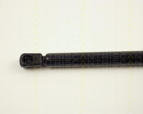 Amortecedor de tampa de porta-malas (de 3ª/5ª porta traseira) ZSJ04004 Japko
