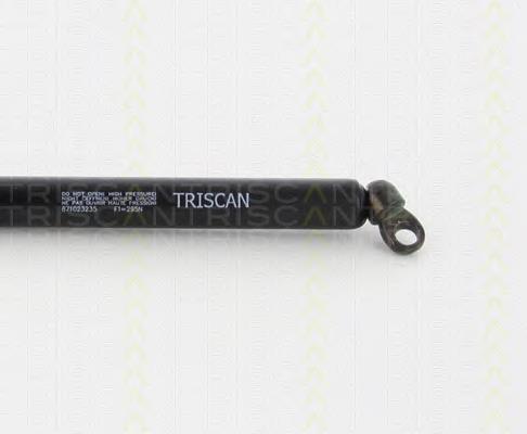 Amortecedor de tampa de porta-malas (de 3ª/5ª porta traseira) Mercedes A2207500136